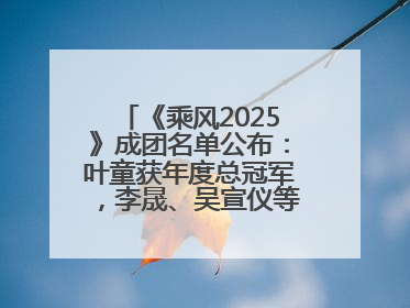 《乘风2025》成团名单公布：叶童获年度总冠军，李晟、吴宣仪等10位姐姐成功成团，陈德容获年度高光人物