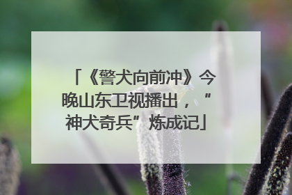 《警犬向前冲》今晚山东卫视播出，“神犬奇兵”炼成记