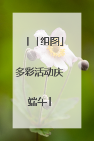 「组图」多彩活动庆端午
