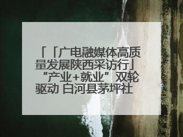 「广电融媒体高质量发展陕西采访行」“产业+就业”双轮驱动 白河县茅坪社区打造易地搬迁后扶新样本