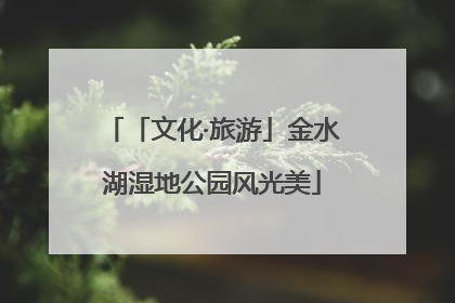 「文化·旅游」金水湖湿地公园风光美