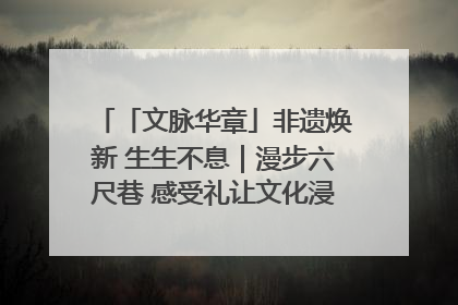 「文脉华章」非遗焕新 生生不息｜漫步六尺巷 感受礼让文化浸润的“巷”往生活