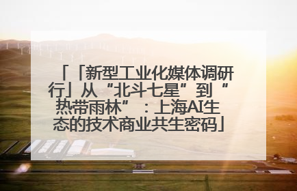 「新型工业化媒体调研行」从“北斗七星”到“热带雨林”：上海AI生态的技术商业共生密码