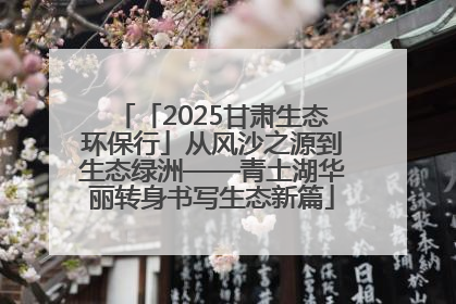 「2025甘肃生态环保行」从风沙之源到生态绿洲——青土湖华丽转身书写生态新篇