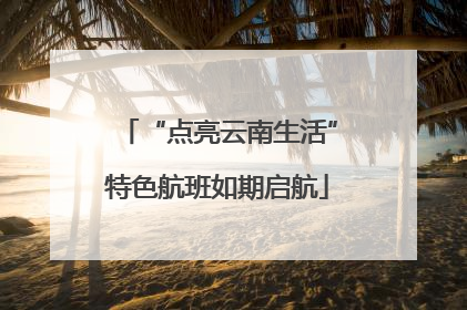 “点亮云南生活”特色航班如期启航