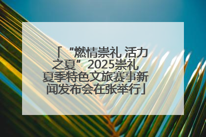 “燃情崇礼 活力之夏”2025崇礼夏季特色文旅赛事新闻发布会在张举行