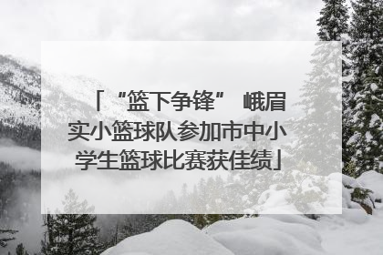 “篮下争锋” 峨眉实小篮球队参加市中小学生篮球比赛获佳绩