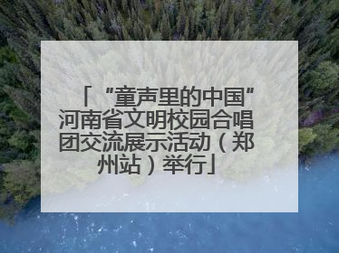 “童声里的中国”河南省文明校园合唱团交流展示活动（郑州站）举行