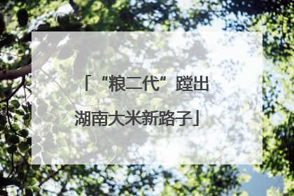 “粮二代”蹚出湖南大米新路子