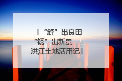 “缝”出良田 “锈”出新景——洪江土地活用记