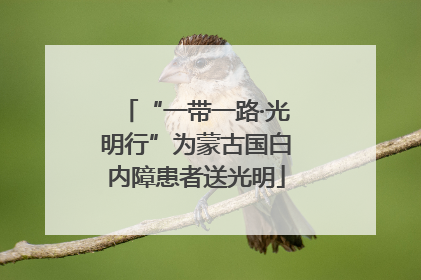 “一带一路·光明行”为蒙古国白内障患者送光明