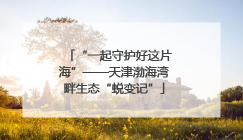 “一起守护好这片海”——天津渤海湾畔生态“蜕变记”