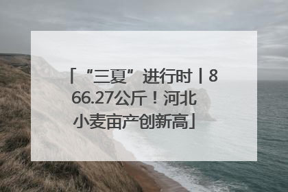 “三夏”进行时丨866.27公斤！河北小麦亩产创新高