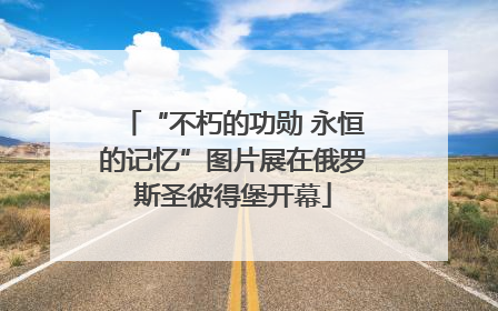 “不朽的功勋 永恒的记忆”图片展在俄罗斯圣彼得堡开幕