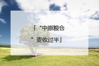 “中原粮仓”麦收过半