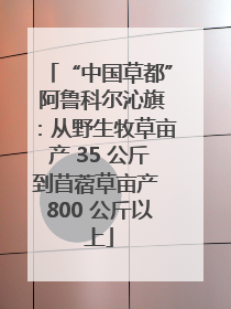 “中国草都” 阿鲁科尔沁旗：从野生牧草亩产 35 公斤到苜蓿草亩产 800 公斤以上