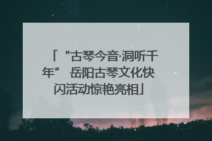 “古琴今音·洞听千年” 岳阳古琴文化快闪活动惊艳亮相