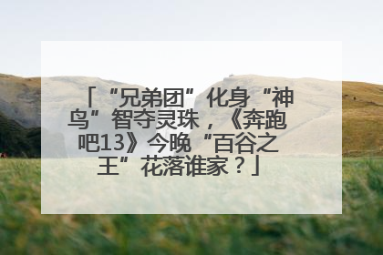 “兄弟团”化身“神鸟”智夺灵珠，《奔跑吧13》今晚“百谷之王”花落谁家？