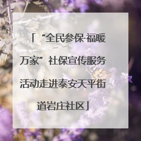 “全民参保·福暖万家”社保宣传服务活动走进泰安天平街道岩庄社区