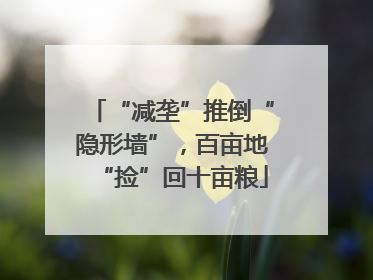 “减垄”推倒“隐形墙”，百亩地“捡”回十亩粮