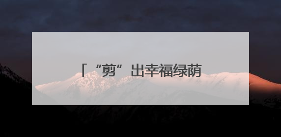 “剪”出幸福绿荫生活！控江路街道以党建引领实现“树与民”双向奔赴
