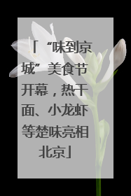“味到京城”美食节开幕，热干面、小龙虾等楚味亮相北京