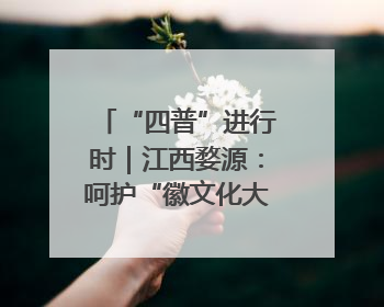“四普”进行时｜江西婺源：呵护“徽文化大观园”