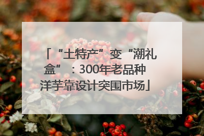“土特产”变“潮礼盒”：300年老品种洋芋靠设计突围市场