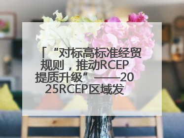 “对标高标准经贸规则，推动RCEP提质升级”——2025RCEP区域发展媒体智库论坛举行专题对话