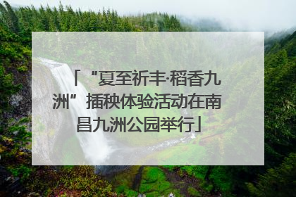 “夏至祈丰·稻香九洲”插秧体验活动在南昌九洲公园举行