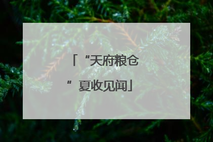 “天府粮仓”夏收见闻