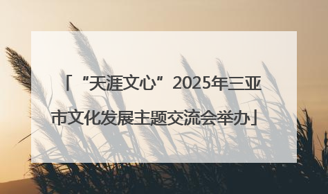 “天涯文心”2025年三亚市文化发展主题交流会举办
