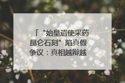 “始皇遣使采药昆仑石刻”陷真假争议：真相越辩越明｜新京报专栏