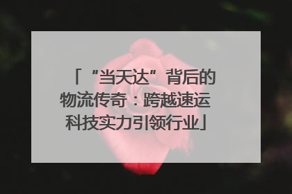 “当天达”背后的物流传奇：跨越速运科技实力引领行业