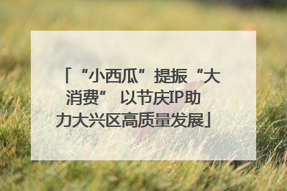“小西瓜”提振“大消费” 以节庆IP助力大兴区高质量发展