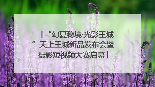 “幻夏秘境·光影王城”天上王城新品发布会暨摄影短视频大赛启幕
