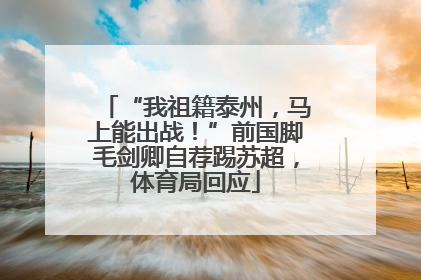 “我祖籍泰州，马上能出战！”前国脚毛剑卿自荐踢苏超，体育局回应