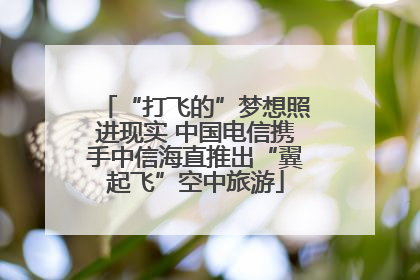 “打飞的”梦想照进现实 中国电信携手中信海直推出“翼起飞”空中旅游