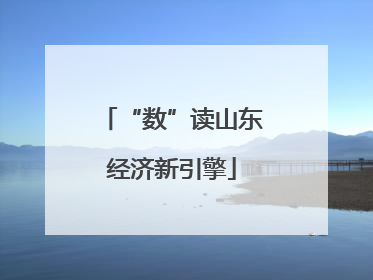 “数”读山东经济新引擎