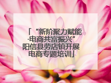 “新阶聚力赋能·电商共富振兴”阳信县劳店镇开展电商专题培训