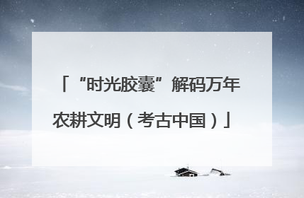 “时光胶囊”解码万年农耕文明（考古中国）