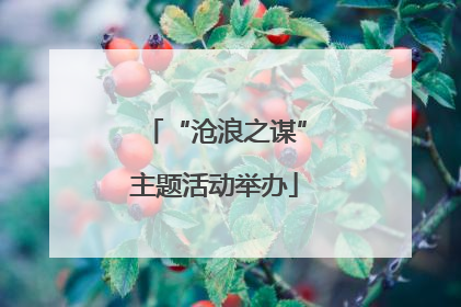 “沧浪之谋”主题活动举办