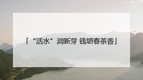 “活水”润新芽 钱塘春茶香