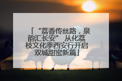 “荔香传丝路，泉韵汇长安” 从化荔枝文化季西安行开启双城甜蜜新篇