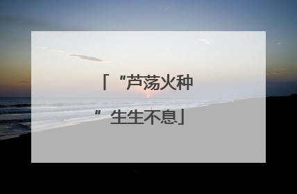 “芦荡火种”生生不息