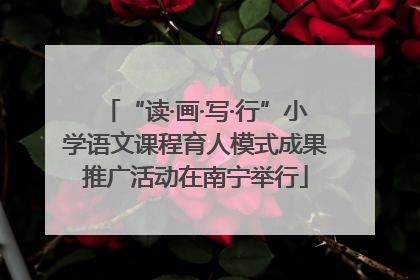 “读·画·写·行”小学语文课程育人模式成果推广活动在南宁举行