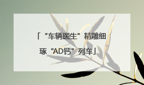 “车辆医生”精雕细琢“AD钙”列车