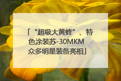 “超级大黄蜂”、特色涂装苏-30MKM 众多明星装备亮相