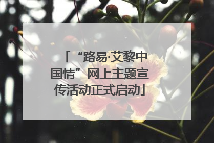 “路易·艾黎中国情”网上主题宣传活动正式启动