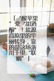 “酸苹果”变“甜酒酿”！盐源高原果的华丽转身，靠的是这场浙川千里“联姻”